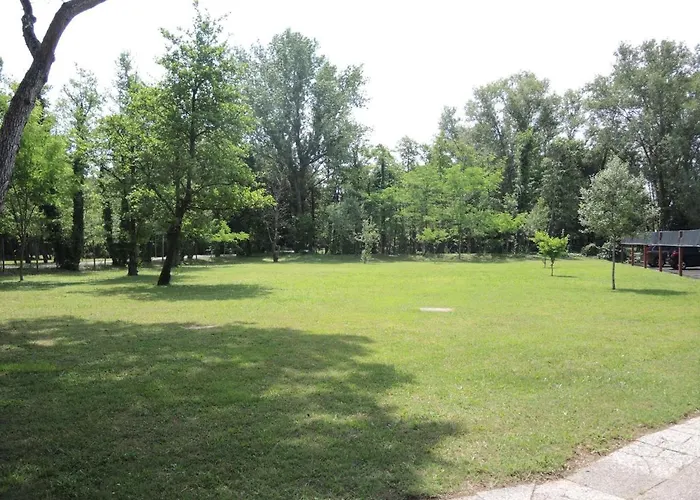 Flat With Terrace In A Great Spot - Beahost * ביביונה